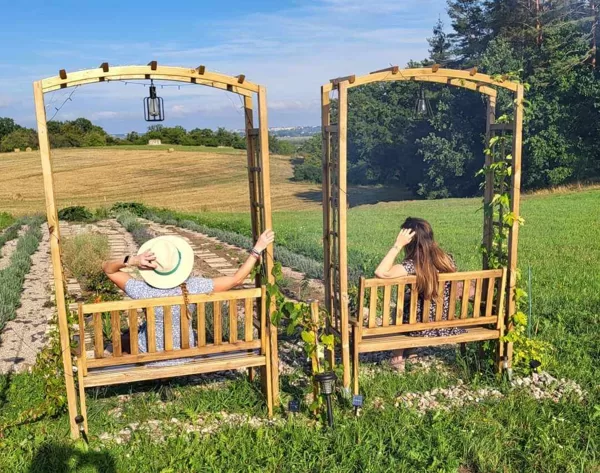 Mała architektura wokół plantacji